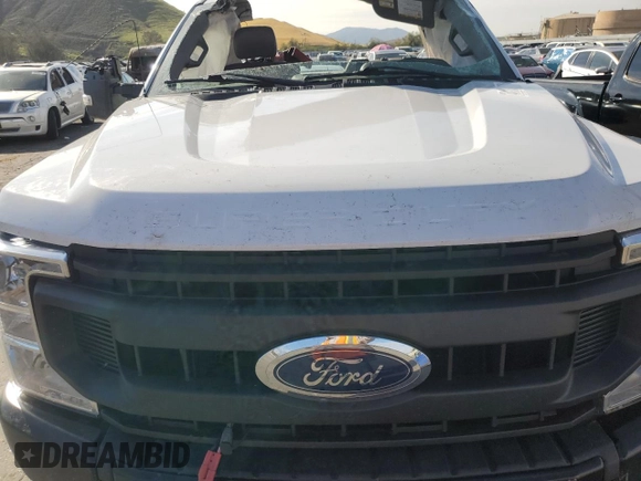 2020 Ford Super Duty F-250 SRW XL with VIN 1FDBF2B68LED97982, listed as a Copart auction lot 41176004 with 32,028 mi miles and Salvage Title. Bid and sale history available at carsss.com. Image 11.