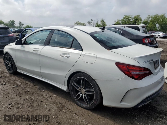 2017 Mercedes-Benz CLA 250 with VIN WDDSJ4GB8HN406231, listed as a Copart auction lot 53218714 with 100,256 mi miles and Salvage Title. Bid and sale history available at DreamBid. Image 2.
