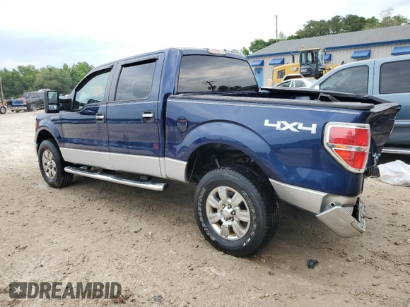 2010 Ford F-150 XL with VIN 1FTFW1EV1AFB61006, listed as a Copart auction lot 55947645 with 111,237 mi miles and Salvage title. Bid and sale history available at DreamBid. Image 2.