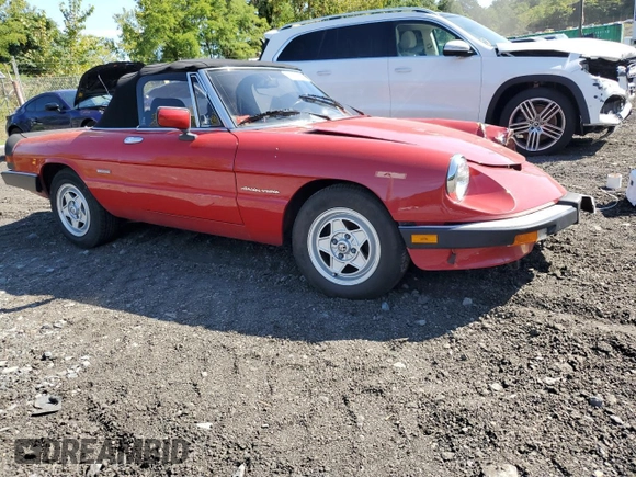 1986 Alfa Romeo Spider Veloce z VIN ZARBA5417G1036669, wystawiony jako Copart lot #83489434 z przebiegiem 71 219 mil mil oraz Czysty tytuł • Clean title. Historia ofert i sprzedaży dostępna na DreamBid. Obrazek 4.