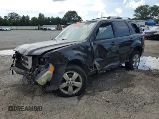 2009 Ford Escape Limited with VIN 1FMCU04G29KC03560, listed as a Copart auction lot 60975365 with 181,150 mi miles and Salvage title. Bid and sale history available at DreamBid. Image 1.