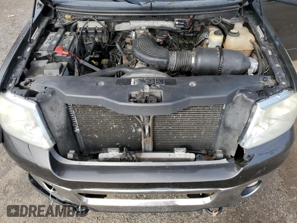 2006 Ford F-150 XLT with VIN 1FTRW14W46FB70667, listed as a Copart auction lot 56128325 with 290,673 mi miles and Clean title. Bid and sale history available at DreamBid. Image 11.