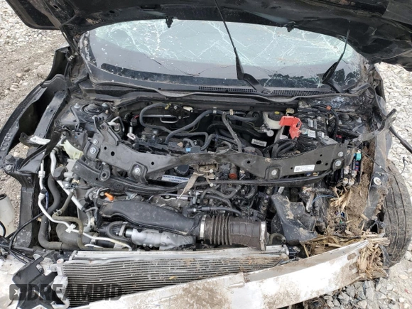 2019 Honda Civic Sedan EX with VIN 19XFC1F34KE016320, listed as a Copart auction lot 44928665 with 0 mi miles and Salvage Title. Bid and sale history available at carsss.com. Image 12.