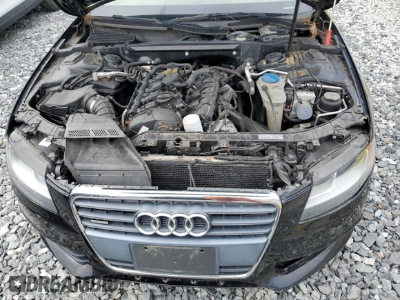 2009 Audi A4 2.0T Prem with VIN WAUVF78K29A182355, listed as a Copart auction lot 52485535 with 0 mi miles and Clean Title. Bid and sale history available at carsss.com. Image 11.