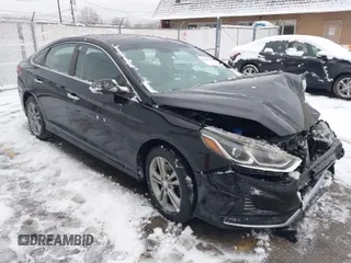 2018 Hyundai Sonata SEL with VIN 5NPE34AF4JH643009, listed as a IAAI auction lot 41156300 with Not Provided miles and . Bid and sale history available at carsss.com. Image 1.