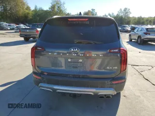2020 Kia Telluride EX with VIN 5XYP34HC9LG059140, listed as a Copart auction lot 80304704 with 117,895 mi miles and Salvage Title. Bid and sale history available at DreamBid. Image 6.