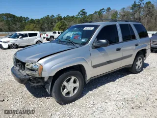 2005 Chevrolet TrailBlazer LT with VIN 1GNDT13S252266814, listed as a Copart auction lot 48248945 with 249,013 mi miles and Salvage Title. Bid and sale history available at carsss.com. Image 1.