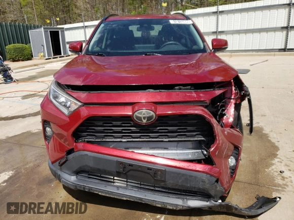 2019 Toyota RAV4 XLE with VIN JTMW1RFV0KD504459, listed as a Copart auction lot 51815305 with 129,826 mi miles and Clean Title. Bid and sale history available at carsss.com. Image 5.