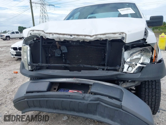 2011 Ford F-150 XL with VIN 1FTMF1CM0BFB25231, listed as a IAAI auction lot 42629899 with 167,513 mi miles and . Bid and sale history available at DreamBid. Image 6.