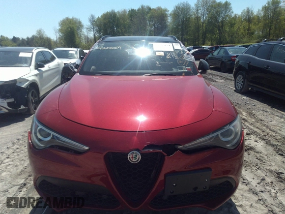 2019 Alfa Romeo Stelvio Ti with VIN ZASPAKBN1K7C49148, listed as a IAAI auction lot 42205054 with 47,338 mi miles and . Bid and sale history available at DreamBid. Image 6.