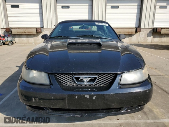 2002 Ford Mustang GT Deluxe with VIN 1FAFP45X02F201213, listed as a Copart auction lot 56493595 with 81,776 mi miles and Salvage title. Bid and sale history available at DreamBid. Image 5.