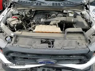 2023 Ford F-150 XL с VIN 1FTMF1CB9PKD95961, выставлен на аукционе Copart как лот 64860845 с пробегом 78 539 миль миль и Списание • Salvage title. История ставок и продаж доступна на DreamBid. Изображение 13.