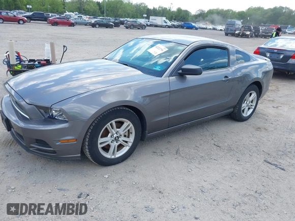 2013 Ford Mustang V6 with VIN 1ZVBP8AM0D5260795, listed as a IAAI auction lot 42222754 with 98,322 mi miles and . Bid and sale history available at carsss.com. Image 19.