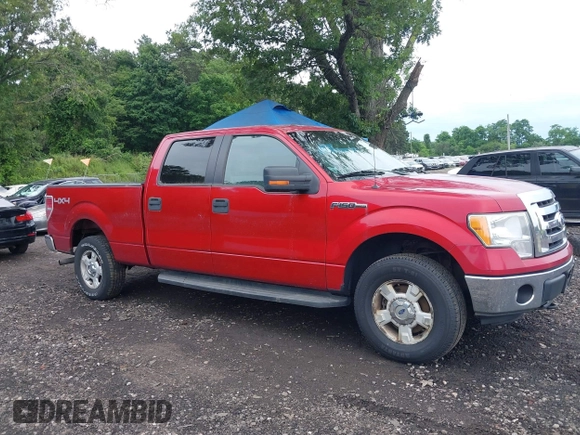 2011 Ford F-150 XL with VIN 1FTFW1EF1BKD16168, listed as a IAAI auction lot 42659851 with 256,032 mi miles and . Bid and sale history available at DreamBid. Image 13.