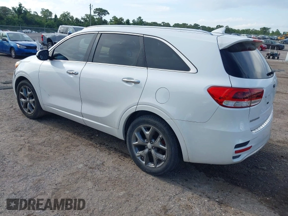 2017 Kia Sorento SX with VIN 5XYPK4A50HG308771, listed as a IAAI auction lot 42553918 with 162,951 mi miles and . Bid and sale history available at DreamBid. Image 3.