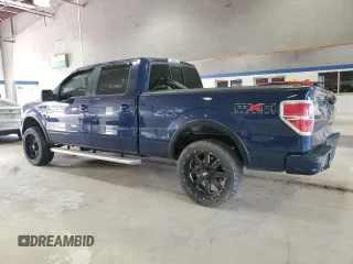 2009 Ford F-150 XL with VIN 1FTPW14V89KC53710, listed as a Copart auction lot 53499825 with 187,271 mi miles and Salvage Title. Bid and sale history available at carsss.com. Image 2.