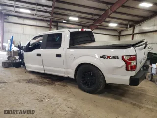 2019 Ford F-150 XL with VIN 1FTEW1EP4KKF08687, listed as a Copart auction lot 51903035 with 54,083 mi miles and Clean Title. Bid and sale history available at carsss.com. Image 2.