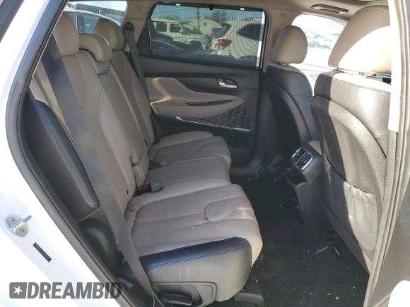 2020 Hyundai Santa Fe SEL with VIN 5NMS3CAA8LH299704, listed as a Copart auction lot 41842335 with 55,980 mi miles and Salvage Title. Bid and sale history available at carsss.com. Image 12.