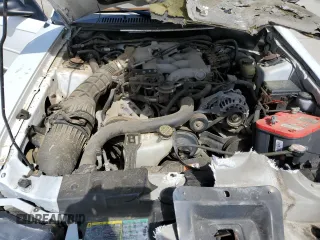 2003 Ford Mustang Standard with VIN 1FAFP40493F427703, listed as a Copart auction lot 49207945 with 0 mi miles and Salvage Title. Bid and sale history available at carsss.com. Image 13.