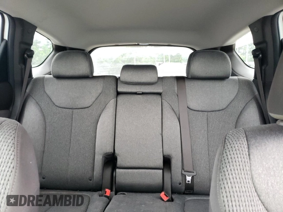2019 Hyundai Santa Fe SE with VIN 5NMS2CAD2KH001241, listed as a Copart auction lot 58469295 with 111,853 mi miles and Salvage title. Bid and sale history available at DreamBid. Image 10.