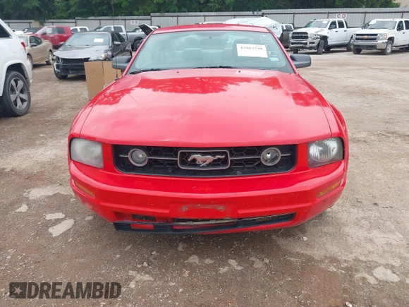 2008 Ford Mustang Deluxe with VIN 1ZVHT80N885141477, listed as a IAAI auction lot 42083598 with 183,647 mi miles. Bid and sale history available at carsss.com. Image 6.