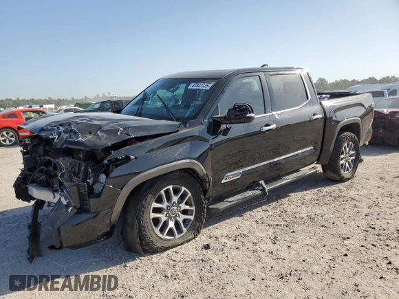 2022 Toyota Tundra 1794 Edition with VIN 5TFMA5DB2NX033703, listed as a Copart auction lot 47841975 with 48,755 mi miles and Salvage title. Bid and sale history available at DreamBid. Image 1.