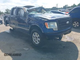 2009 Ford F-150 XL z VIN 1FTPW12V49FB48271, wystawiony jako IAAI lot #42700110 z przebiegiem 340 713 mil mil oraz . Historia ofert i sprzedaży dostępna na DreamBid. Obrazek 1.