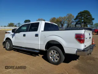 2014 Ford F-150 XL with VIN 1FTFW1CF1EKF46526, listed as a Copart auction lot 49908745 with Not Provided miles and Salvage Title. Bid and sale history available at carsss.com. Image 2.