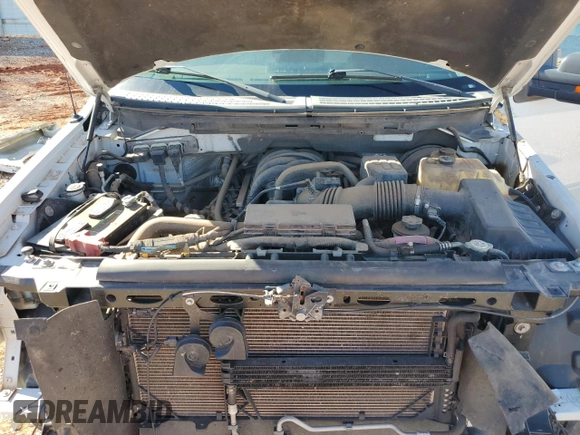 2009 Ford F-150 XL with VIN 1FTRW12869FA24540, listed as a Copart auction lot 49086015 with 184,310 mi miles and Salvage Title. Bid and sale history available at carsss.com. Image 11.