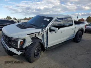 2024 Ford F-150 Raptor with VIN 1FTFW1RJ2RFA41606, listed as a Copart auction lot 75980754 with 3,905 mi miles and Salvage Title. Bid and sale history available at DreamBid. Image 1.