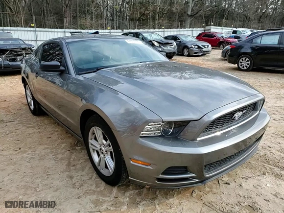 2013 Ford Mustang V6 with VIN 1ZVBP8AM8D5253416, listed as a Copart auction lot 44057435 with 51,660 mi miles and Salvage Title. Bid and sale history available at carsss.com. Image 10.