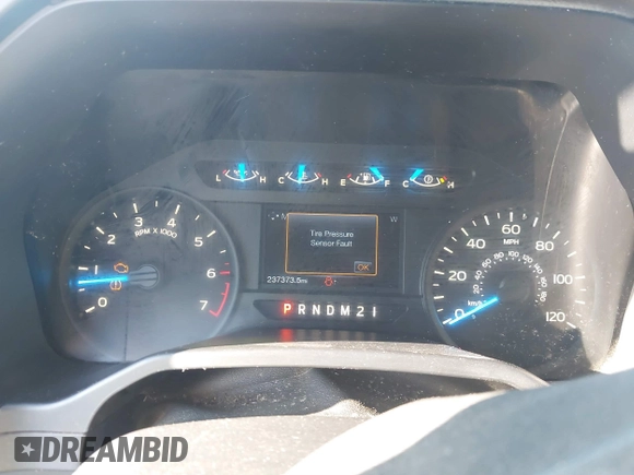 2017 Ford F-150 XL with VIN 1FTEW1CP1HFB17419, listed as a IAAI auction lot 41570543 with 237,373 mi miles. Bid and sale history available at carsss.com. Image 7.