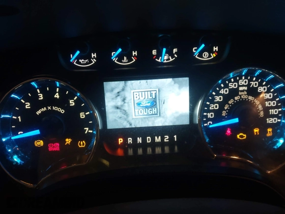 2014 Ford F-150 XL with VIN 1FTEX1EM2EFC07125, listed as a IAAI auction lot 42294350 with 134,160 mi miles and . Bid and sale history available at DreamBid. Image 7.