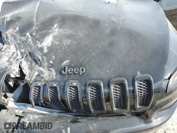 2017 Jeep Cherokee Sport with VIN 1C4PJMAB4HD220703, listed as a Copart auction lot 50810925 with 88,733 mi miles and Salvage title. Bid and sale history available at DreamBid. Image 14.