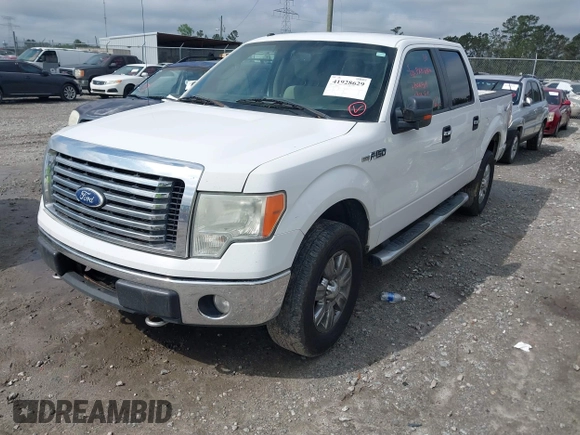 2010 Ford F-150 XL with VIN 1FTFW1EV5AFC03029, listed as a IAAI auction lot 41928629 with 256,111 mi miles. Bid and sale history available at carsss.com. Image 2.
