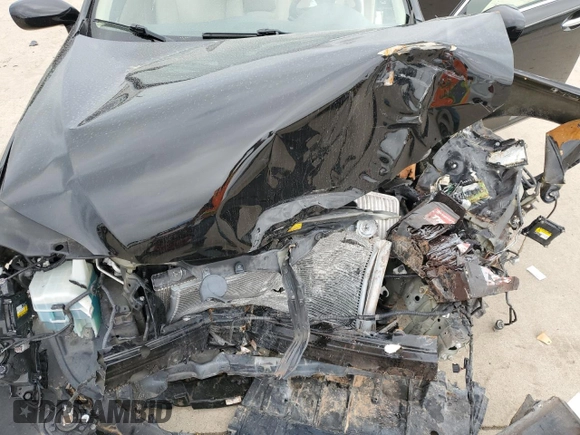 2009 Lexus ES 330 with VIN JTHBJ46G992298887, listed as a Copart auction lot 55506985 with Not Provided miles and Salvage Title. Bid and sale history available at DreamBid. Image 11.