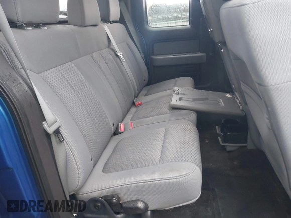 2011 Ford F-150 XL with VIN 1FTEX1CMXBFB29045, listed as a IAAI auction lot 41201456 with Not provided miles and . Bid and sale history available at DreamBid. Image 8.