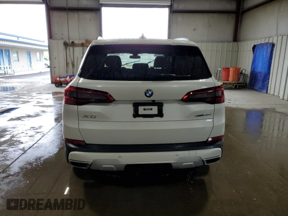 2020 BMW X5 xDrive40i with VIN 5UXCR6C09L9B69226, listed as a Copart auction lot 61435965 with Not provided miles and Salvage title. Bid and sale history available at DreamBid. Image 6.
