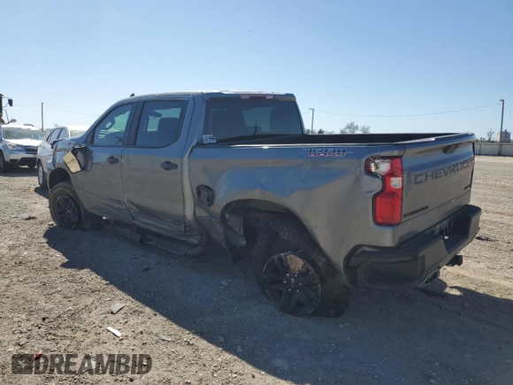 2020 Chevrolet Silverado 1500 Custom Trail Boss with VIN 3GCPYCEFXLG445173, listed as a Copart auction lot 48675725 with 63,073 mi miles and Salvage Title. Bid and sale history available at DreamBid. Image 2.