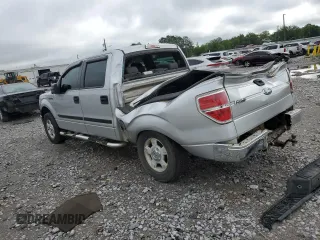 2009 Ford F-150 XL with VIN 1FTRW12W09FA68807, listed as a Copart auction lot 57811775 with 256,731 mi miles and Salvage title. Bid and sale history available at DreamBid. Image 2.