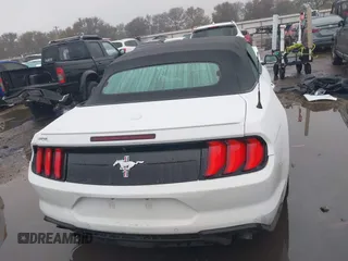2021 Ford Mustang EcoBoost with VIN 1FATP8UH0M5137364, listed as a IAAI auction lot 41013380 with 31,526 mi miles. Bid and sale history available at carsss.com. Image 17.