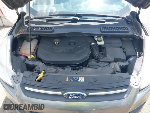2014 Ford Escape SE with VIN 1FMCU0G98EUB23109, listed as a IAAI auction lot 42186287 with 134,793 mi miles. Bid and sale history available at carsss.com. Image 10.