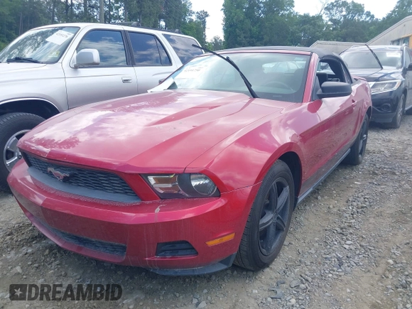 2010 Ford Mustang V6 with VIN 1ZVBP8EN4A5175330, listed as a IAAI auction lot 42191750 with 111,339 mi miles and . Bid and sale history available at carsss.com. Image 2.