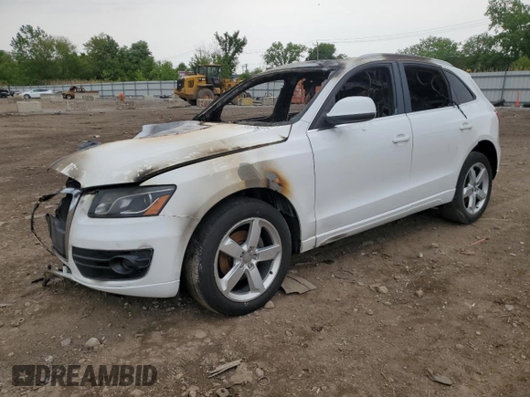 2011 Audi Q5 Premium Plus with VIN WA1LFAFP7BA032263, listed as a Copart auction lot 58926275 with Not provided miles and Salvage title. Bid and sale history available at DreamBid. Image 1.
