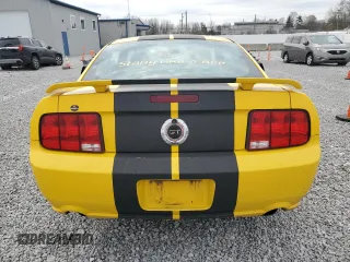 2006 Ford Mustang GT Deluxe with VIN 1ZVHT82H765172787, listed as a Copart auction lot 52539725 with 161,409 mi miles and Salvage Title. Bid and sale history available at carsss.com. Image 6.