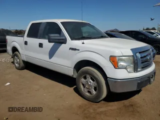 2010 Ford F-150 XL with VIN 1FTEW1C82AFA63417, listed as a Copart auction lot 62702535 with 254,474 mi miles and Clean title. Bid and sale history available at DreamBid. Image 4.
