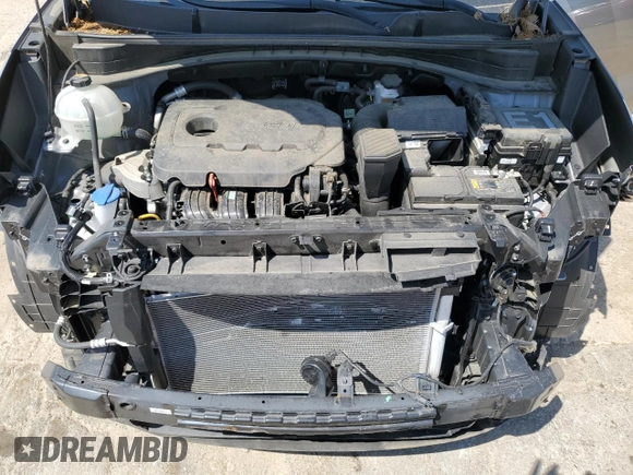 2020 Kia Sportage EX with VIN KNDPN3AC3L7779996, listed as a Copart auction lot 52311305 with 20,604 mi miles and Salvage title. Bid and sale history available at DreamBid. Image 12.