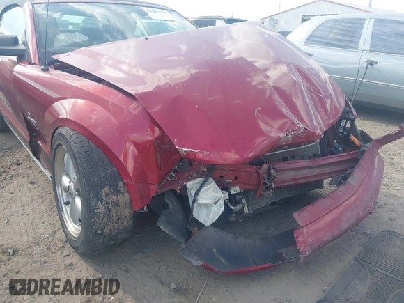 2007 Ford Mustang Deluxe with VIN 1ZVHT84NX75334058, listed as a IAAI auction lot 42187157 with Not provided miles and . Bid and sale history available at DreamBid. Image 6.