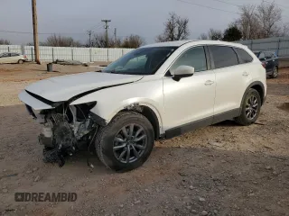 2020 Mazda CX-9 Sport with VIN JM3TCBBY3L0401329, listed as a Copart auction lot 88391665 with 80,513 mi miles and Salvage Title. Bid and sale history available at carsss.com. Image 1.
