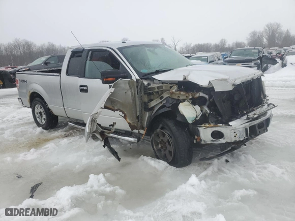 2010 Ford F-150 XL with VIN 1FTEX1E85AFD29099, listed as a Copart auction lot 45636035 with 172,919 mi miles and Salvage Title. Bid and sale history available at carsss.com. Image 4.